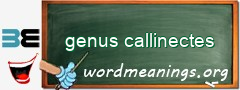 WordMeaning blackboard for genus callinectes